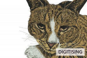 Digi5
